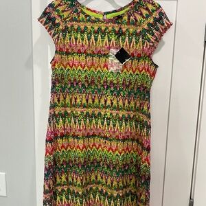 Colorful Ronni Nicole Dress